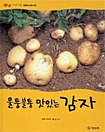 [중고] 울퉁불퉁 맛있는 감자