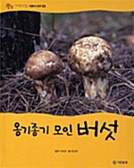 옹기종기 모인 버섯