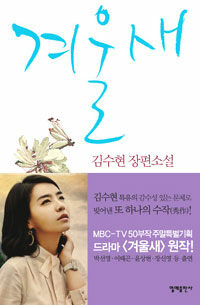 겨울새:김수현 장편소설