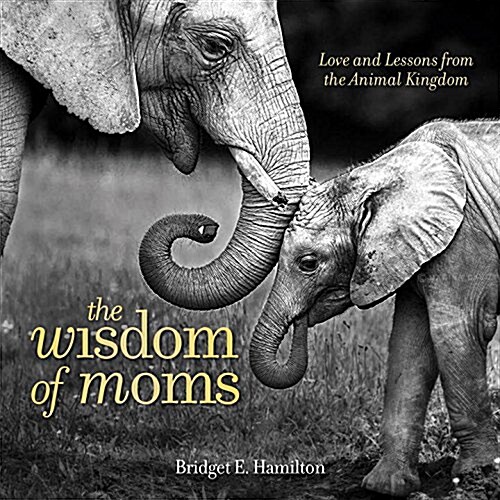 The Wisdom of Moms: Love and Lessons from the Animal Kingdom (Hardcover)