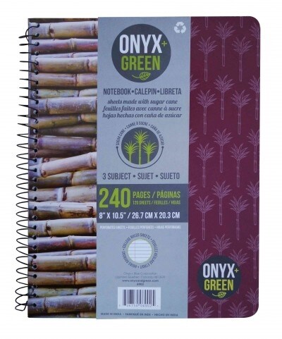 3 Subject Notebook, 120 Perforated Sheets, Sugar Cane Paper, College Ruled (Paperback, NTB)