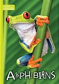 Amphibians (Hardcover)