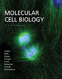 Molecular Cell Biology (6th Edition, Hardcover)
