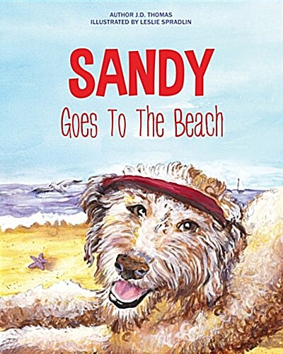 Sandy Goes to the Beach (Paperback)