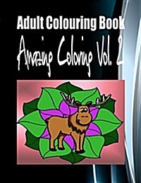 Adult Colouring Book Amazing Colouring Vol. 2 (Paperback)