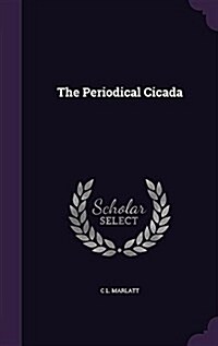 The Periodical Cicada (Hardcover)