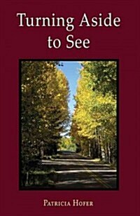 Turning Aside to See (Paperback)