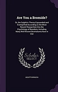 Are You a Bromide?: Or, the Sulphitic Theory Expounded and Exemplified According to the Most Recent Researches Into the Psychology of Bore (Hardcover)