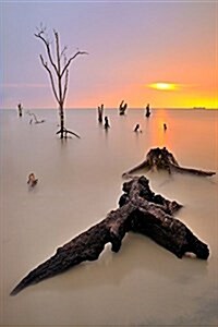 Dead Wood on the Kelanang Beach Banting Journal: 150 Page Lined Notebook/Diary (Paperback)
