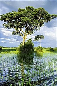 Nature in Pantanal Brazil Journal: 150 Page Lined Notebook/Diary (Paperback)