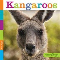 Kangaroos (Paperback)