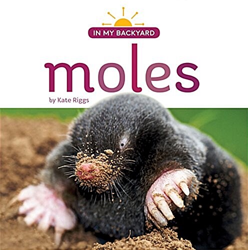Moles (Paperback)