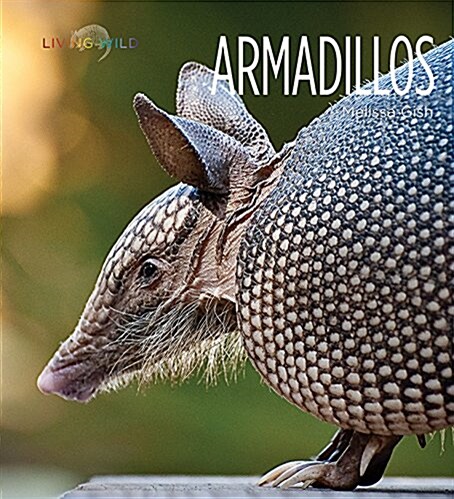 Armadillos (Paperback)