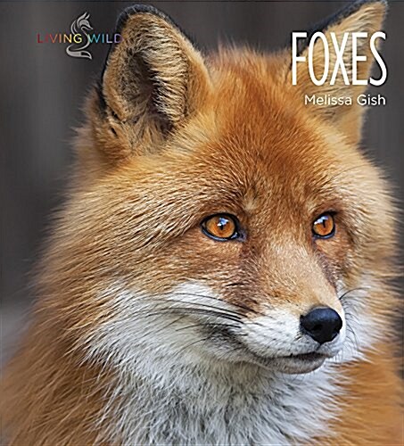 Foxes (Paperback)