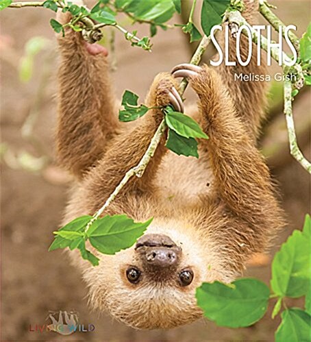 Sloths (Paperback)