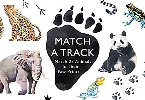 [중고] Match a Track : Match 25 Animals to Their Paw Prints (Cards)