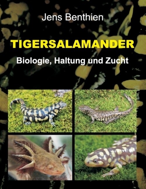 Tigersalamander: Biologie, Haltung und Zucht (Paperback)