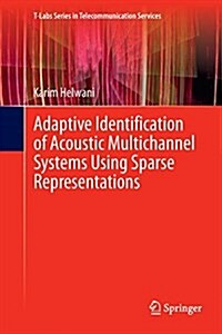 Adaptive Identification of Acoustic Multichannel Systems Using Sparse Representations (Paperback, Softcover Repri)