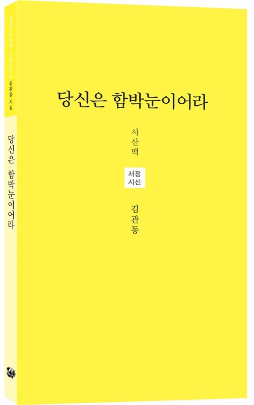 당신은 함박눈이어라