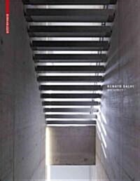 Renato Salvi Architect (Paperback)