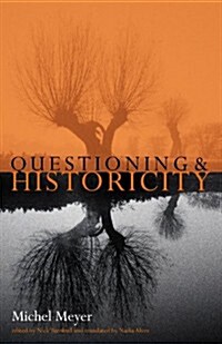 Questioning and Historicity (Hardcover)