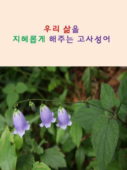 우리 삶을 지혜롭게 해주는 고사성어