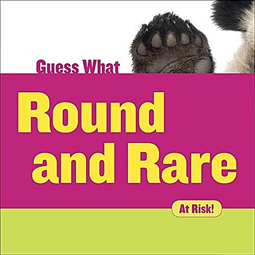 Round and Rare: Giant Panda (Library Binding)