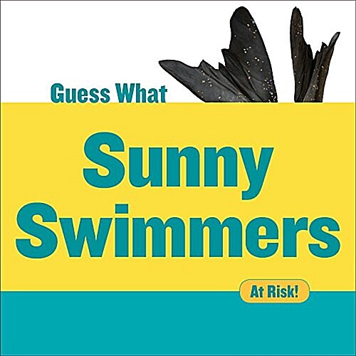 Sunny Swimmers: Monk Seal (Paperback)