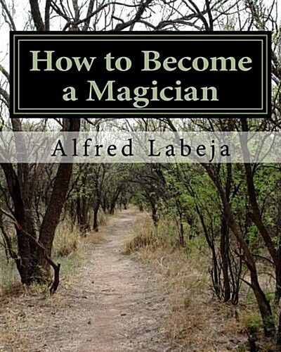 How to Become a Magician (Paperback, Large Print)