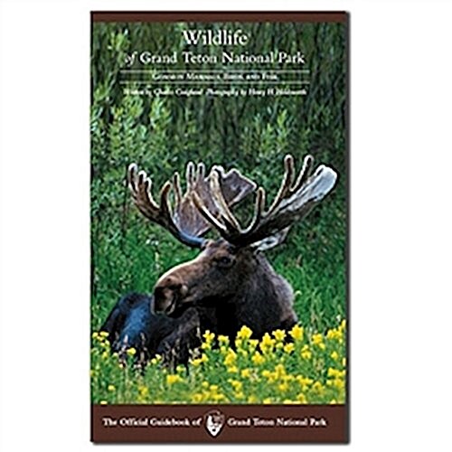 Wildlife of Grand Teton National Park (Paperback)