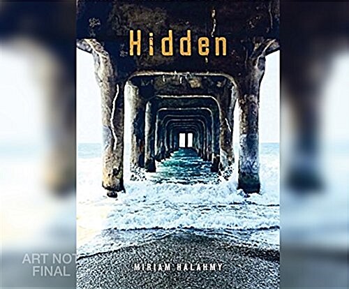 Hidden (MP3 CD)