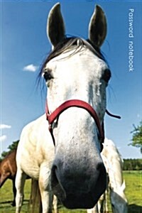 Password Notebook: Medium-Size Internet Address and Password Logbook / Journal / Diary - Curious Horse Cover (Paperback)