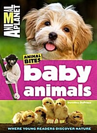 Baby Animals (Animal Planet Animal Bites) (Paperback)