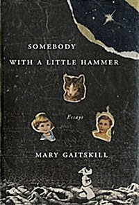 Somebody with a Little Hammer: Essays (Hardcover)