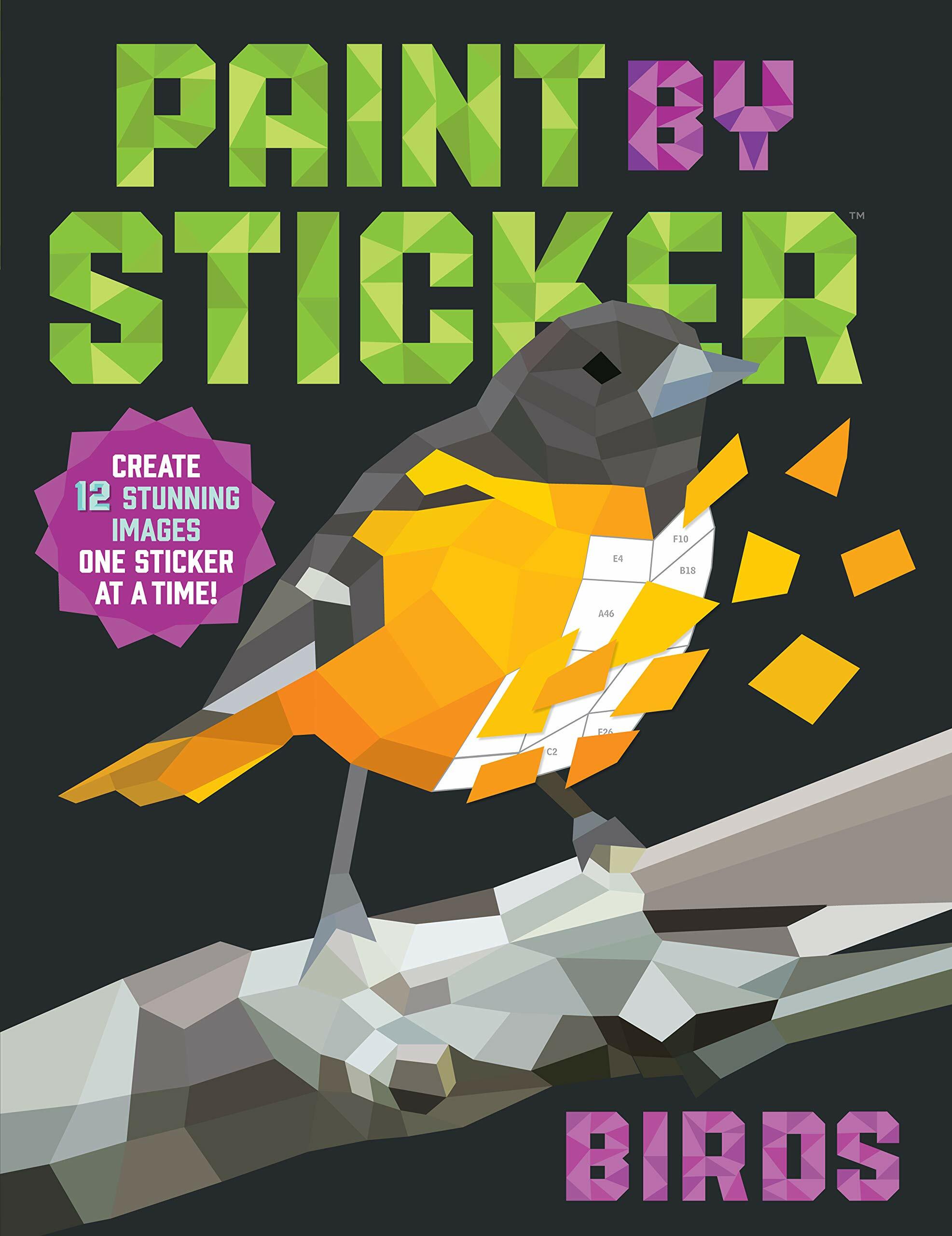Paint by Sticker: Birds: Create 12 Stunning Images One Sticker at a Time! (Paperback)