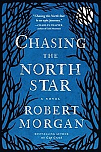 Chasing the North Star (Paperback)