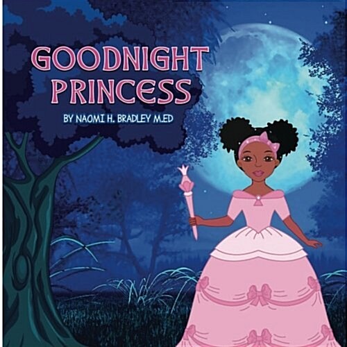 Good Night Princess (Paperback)