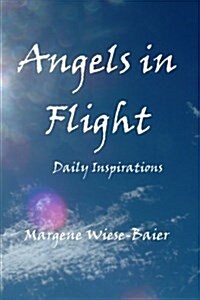 Angels in Flight (Paperback)