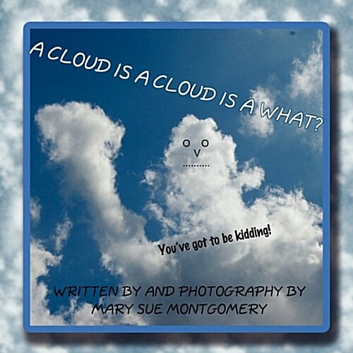 A Cloud Is a Cloud Is a What: Youve Got to Be Kidding (Paperback)