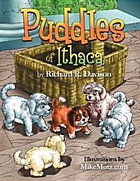 Puddles of Ithaca (Paperback)