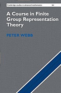 A Course in Finite Group Representation Theory (Hardcover)