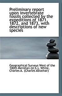 Preliminary Report Upon Invertebrate Fossils Collected by the Expeditions of 1871, 1872, and 1873, W (Paperback)