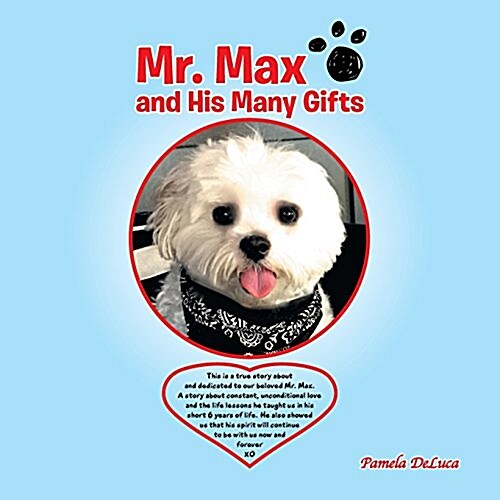 Mr. Max and His Many Gifts (Paperback)