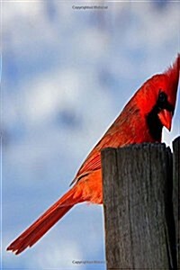 My Journal: Red Cardinal, Blank 150 Page Lined Diary / Journal / Notebook (Paperback)
