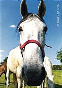 Password Notebook: Large Internet Address and Password Logbook / Journal / Diary - Curious Horse Cover (Paperback)
