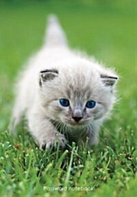 Password Notebook: Large Internet Address and Password Logbook / Journal / Diary - Blue-Eyed Kitten Cover (Paperback)