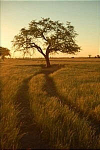The Lonely Tree Journal: 150 Page Lined Notebook/Diary (Paperback)