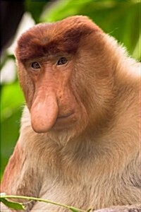 Proboscis Monkey Journal: 150 Page Lined Notebook/Diary (Paperback)