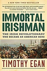 The Immortal Irishman: The Irish Revolutionary Who Became an American Hero (Paperback)