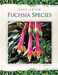 Fuchsia Species (Paperback)